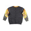 Airazor Beast Wars Kid Costume Cosplay Hoodie Sweatshirt T-Shirt 2 - Image 2