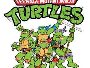 Teenage Mutant Ninja Turtles Collection